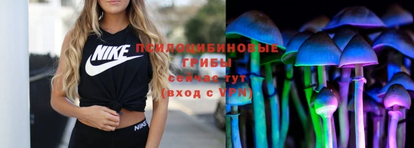 2c-b Алексин