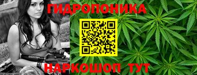 сатива Нарткала