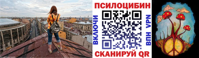 Галлюциногенные грибы Psilocybe  mega ONION  Пермь  закладка 