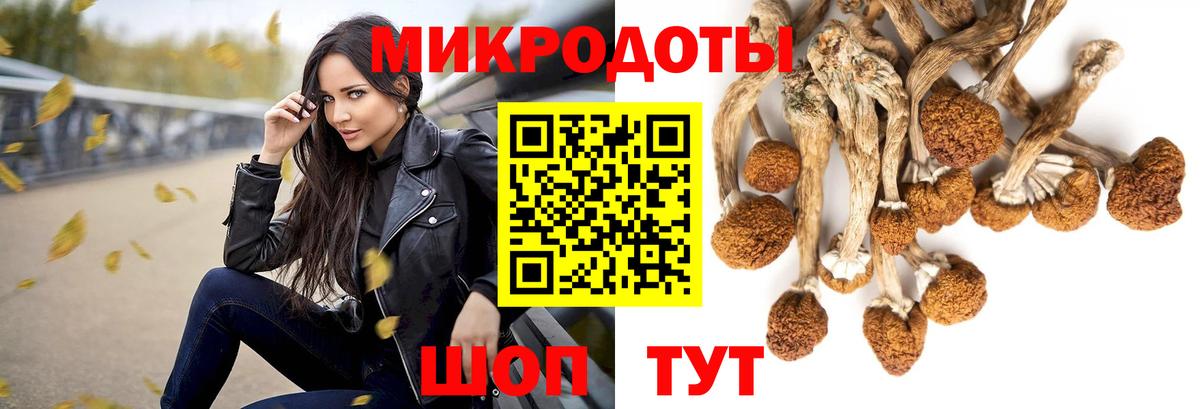 Псилоцибиновые грибы Psilocybine cubensis Пермь